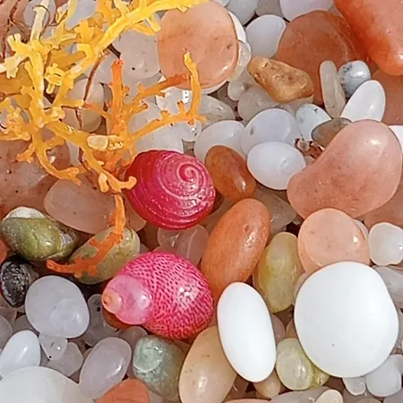 Semesterbostad Pausadi Càbras