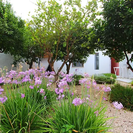 Semesterbostad Pausadi *